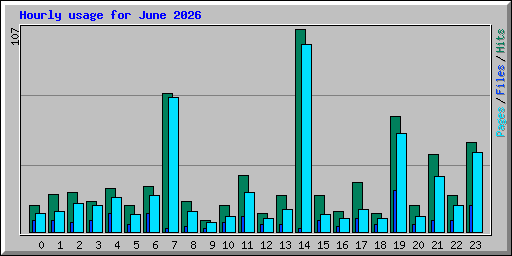 Hourly usage for June 2026